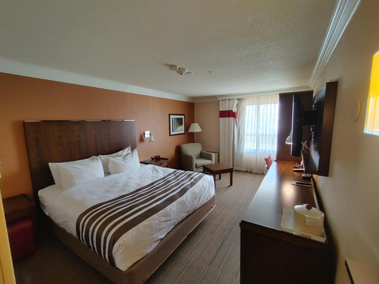 Waterloo Suites Hotel, Trademark Collection By Wyndham エクステリア 写真